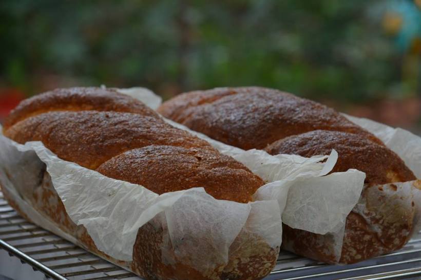 14370163_549019008641151_7756288824081647596_n