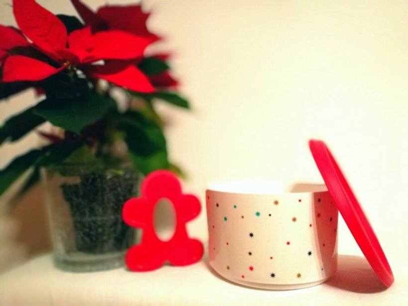 15416003_1193261804091139_362347895_n