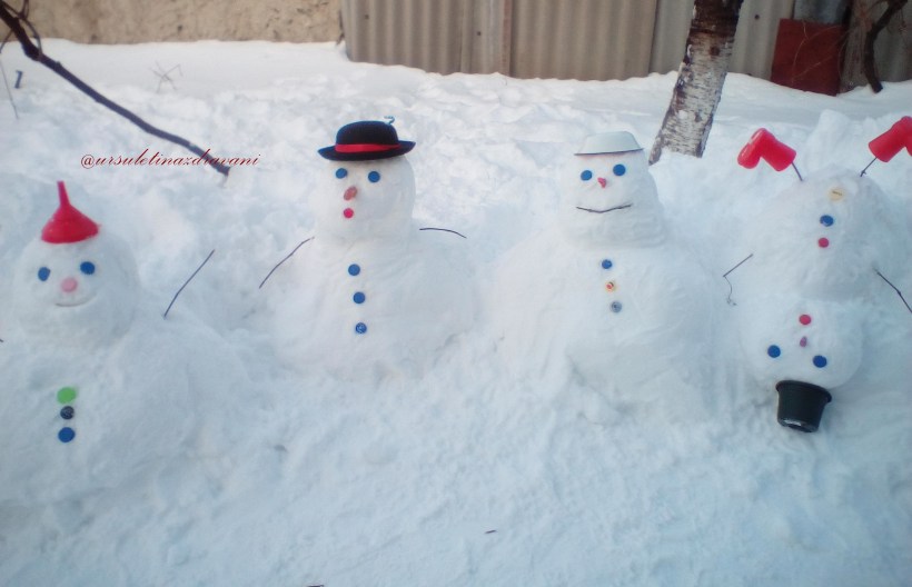 familia-noastra-din-zapada