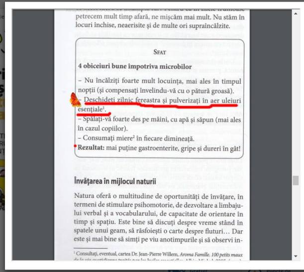 29683587_10215988622932224_406783283734781022_n