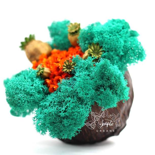 31064378_614559825544221_2306438946800207211_n