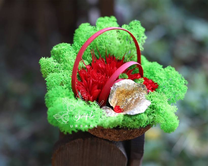 45313823_324884068243377_6976591034188824576_n