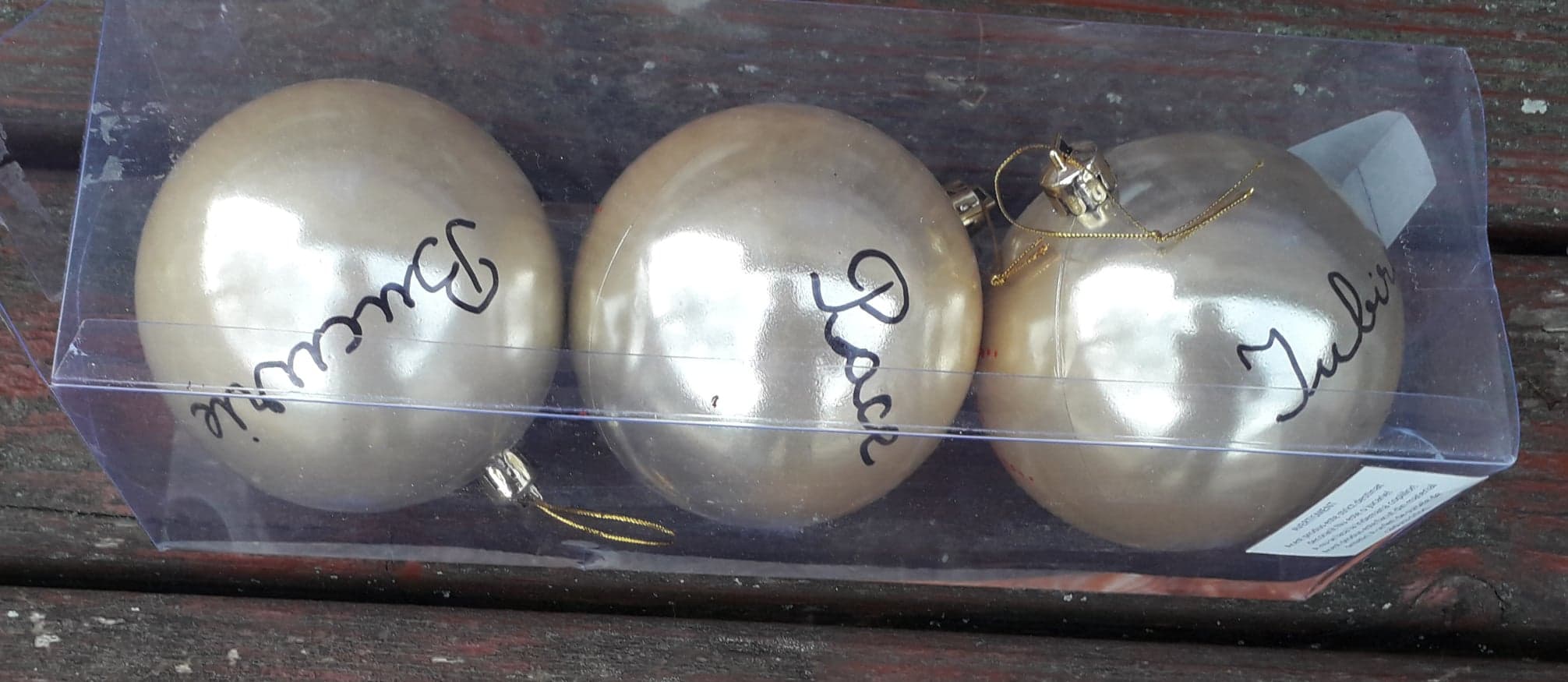 73524636_1000487256959591_5516023590559940608_n