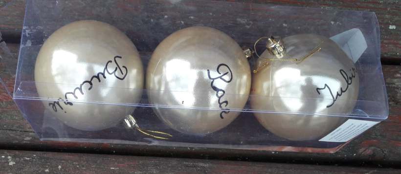 73524636_1000487256959591_5516023590559940608_n