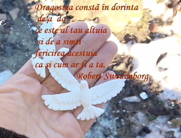 turturele poza articol